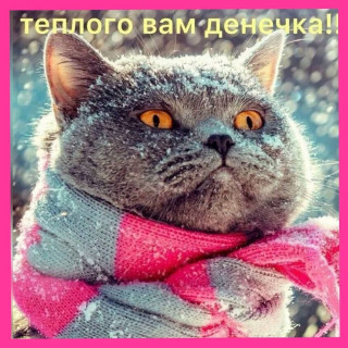 amyrskay-___CKvX9hynK3H___-