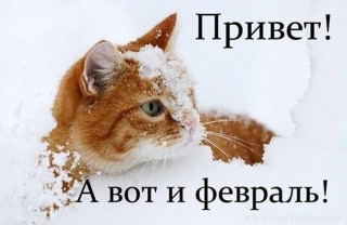 sychevaliubov9385-___CKvnH65D0Pl___-