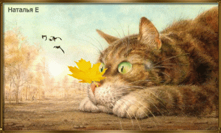 koshka-vladimir-myancev-koty