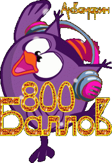 800