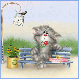 kot-na-lavke-prikolnye-otkrytki-dlya-lyubimoj