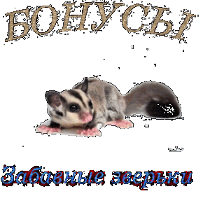 oie_f4JUtENlfHMq