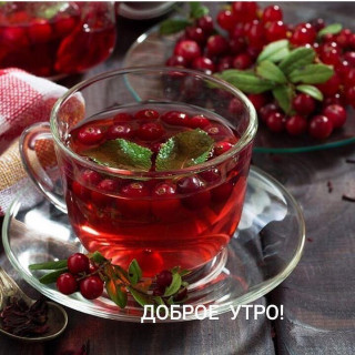 karolina_fuks-___CKx7InnnJb9___-