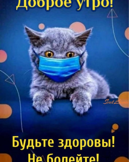 elenaiakovlevv-___CK0XfdeBDV7___-