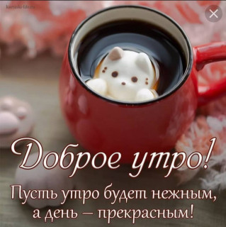 nadezdanadiysa-___CKvXkkWHr9a___-