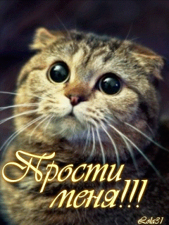 1500771128_901-prosti-menya