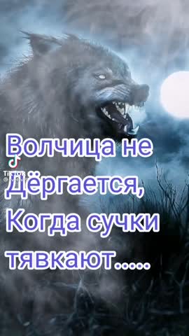 2e6e97d5195e4cb029049c067aab5623