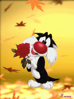 kot-s-cvetami-otzyvy-pokupatelej