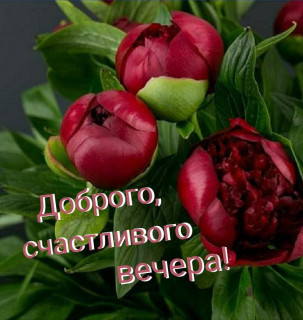 marinabazheno-___CK6o2qIFlRw___-
