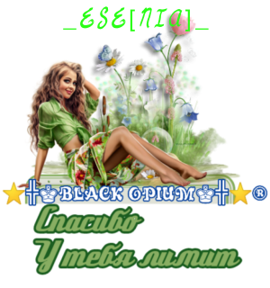 Foiz__670C3FA0-AFB6-4CA4-8DD6-D71267A630C1