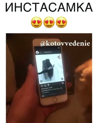 milota_kisa-___CK8cAIJi4it___-