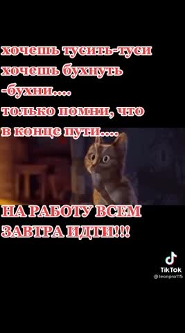 b6fd1e9f729a68419f9370183f46fd88