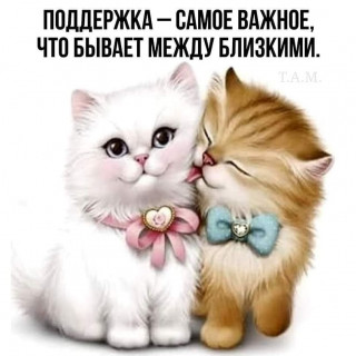 olga_dracheva-___CK-3AAPjQrP___-