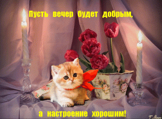 pust-vecher-budet-dobrym-a-nastroenie-xoroshim