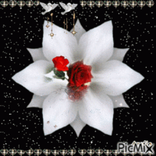 82b2b349f9d2339b94b534ca7b6c6a2e