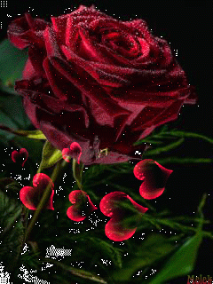 1eeb75c6723e61e9cc776ee67fe9ba56