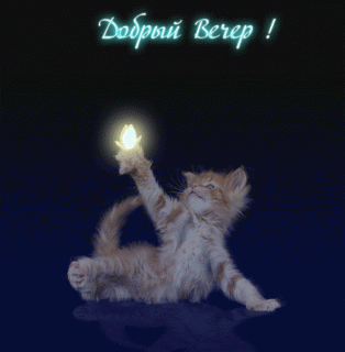 dobryj-vecher-vozdushnyj-poceluj