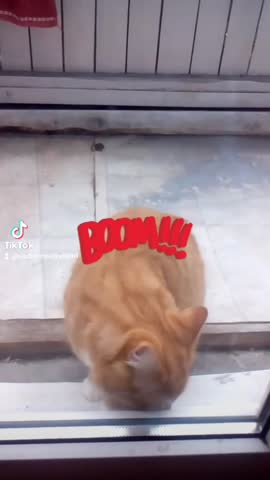 e2c84baa0171a4826b58ca1d02a81a88