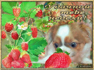 Удачной-тебе-недели_1