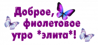 Фиолет утро