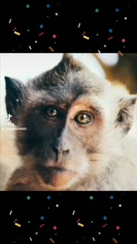 472e8326886c076d1f60c2386fcf057e