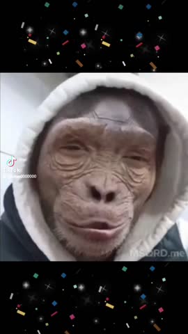 02f2c516f5a6dad73f87c116666a55bf