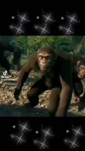 573e1ec0bc0b1b5f9ff28d41fa4d08e1