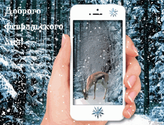 dobrogo-fevralskogo-dnya