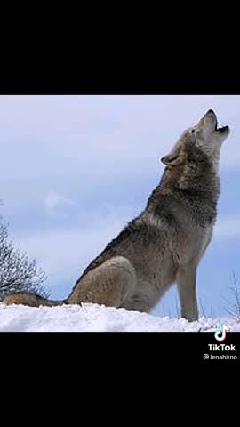 c560d2d5674750d067641aed19da53d9