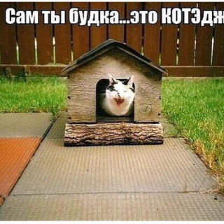 vse_muzhiki_boom-___CLJgRPYj3aY___-