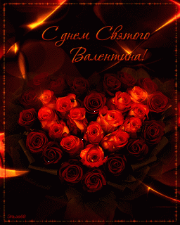 de049539aa9e789b1110c6d9073e8d5f