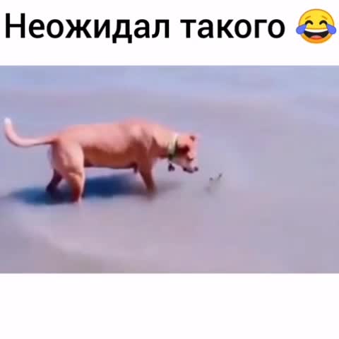 Неожиданно