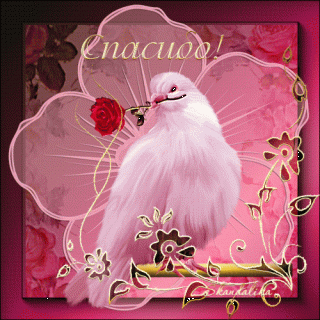 1f33ffb16e7704309bfd37c21982b1a0