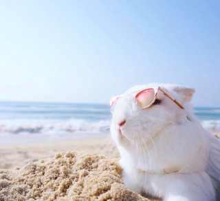 panpanbun-___CLcPDa5F0-l___-