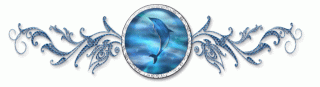 dolphin_divider