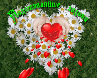 podstavlyajte-ladoni