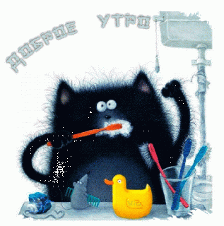 Кош чистит зубки