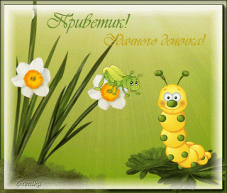 privet-udachnogo-denechka