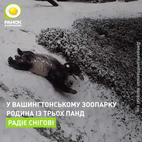 ranok_ua-___CLcLiufo-i4___-