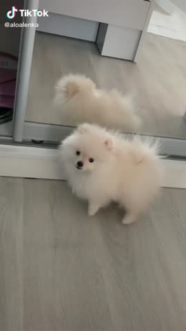 сладенький