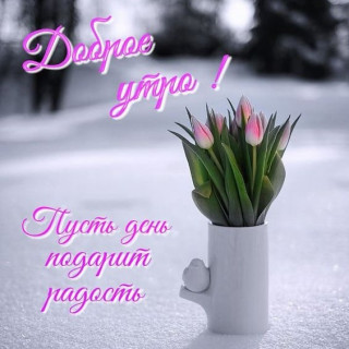 citati_af57-___CLi0pcaDpQA___-