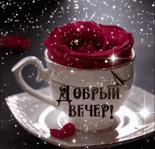 dobryj-vecher_1