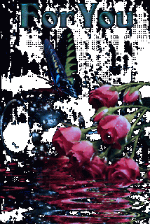 Foiz__f0ef33cd9ef2a9d05a42d184ca3eefd3