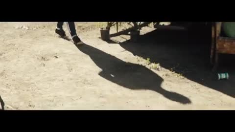 Avicii_-_Broken_Arrows