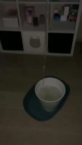 VID_20210224_215031_056