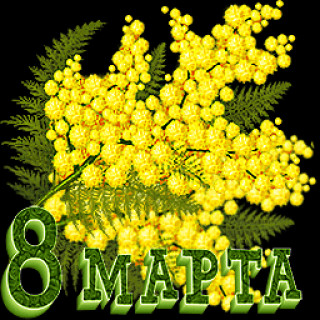 Мимоза 8 марта