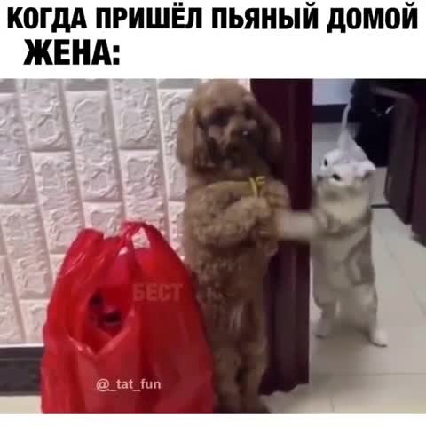 встреча_жены_пьяного_мужа