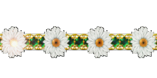 margaritas-barras-post-gifmaniacos_es-6