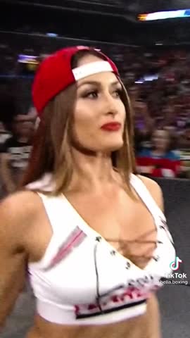 31392745ee4fb6616180271ac4ad1a41