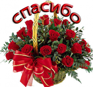 Корзина спа